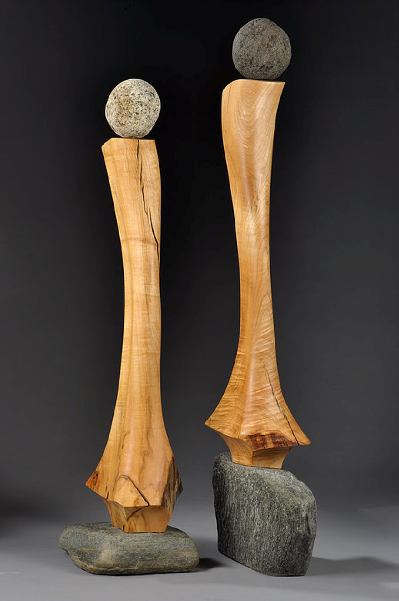 Click here to view Traveling with Dignity_pair by Len Zeoli